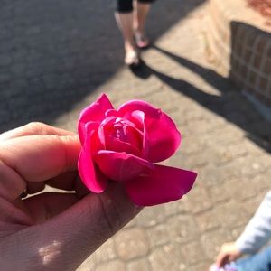 Meet your Posher, Jessica